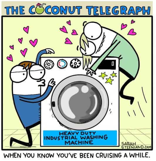 coconut telegraph cruising loves washing machine