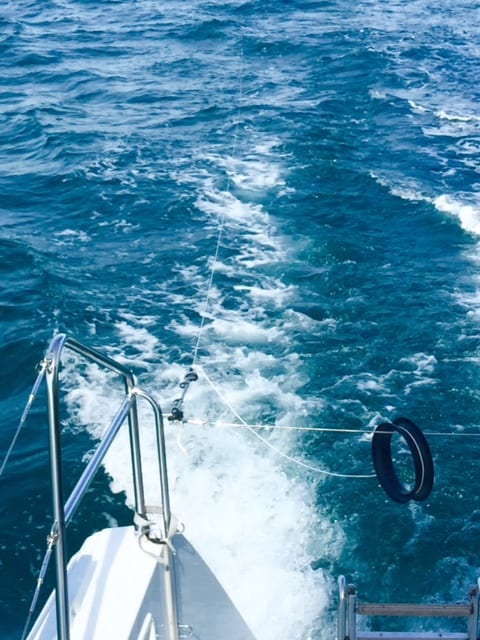 fishing on a catamaran
